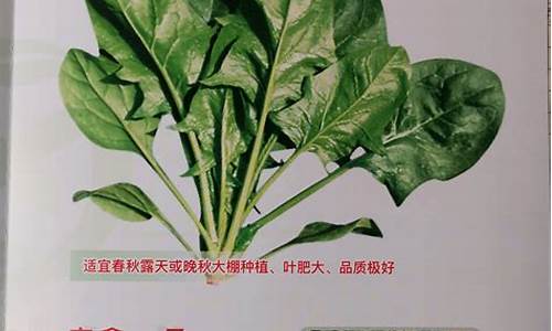 新2会员端：菠菜公司网址(菠菜公司下载)